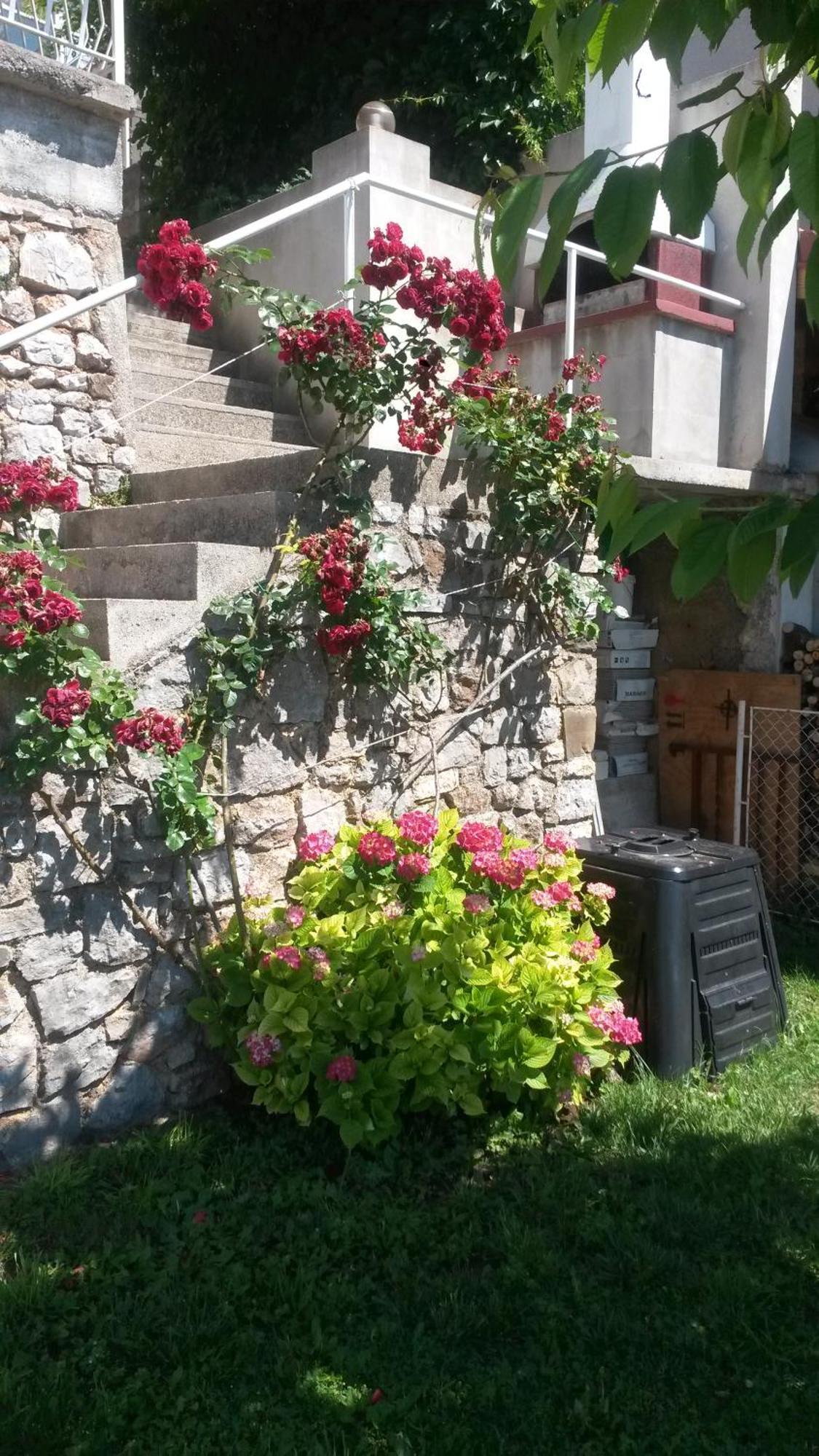 Apartmani Silvana&Vera Senj  Luaran gambar